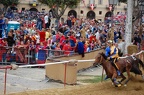 Palio 2009 Don Bosco (29)