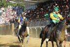 Palio 2012 Don Bosco (12)