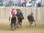 Palio 2013 Don Bosco (2)