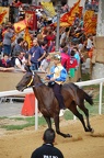 Palio 2013 Don Bosco (7)