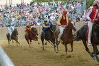 Palio 2013 Don Bosco (15)