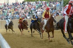 Palio 2013 Don Bosco (15)