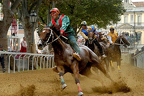 Palio 2014 Don Bosco (1)