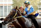 Palio 2014 Don Bosco (4)