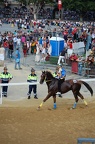Palio 2014 Don Bosco (5)