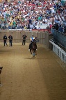 Palio 2014 Don Bosco (6)
